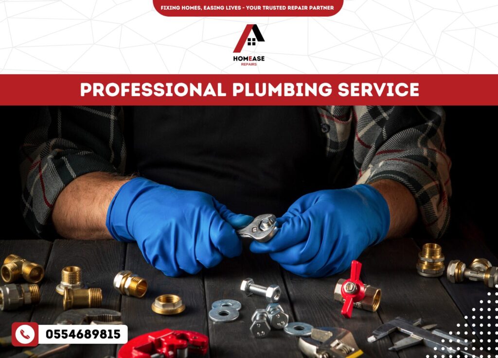 Professional plumbing service