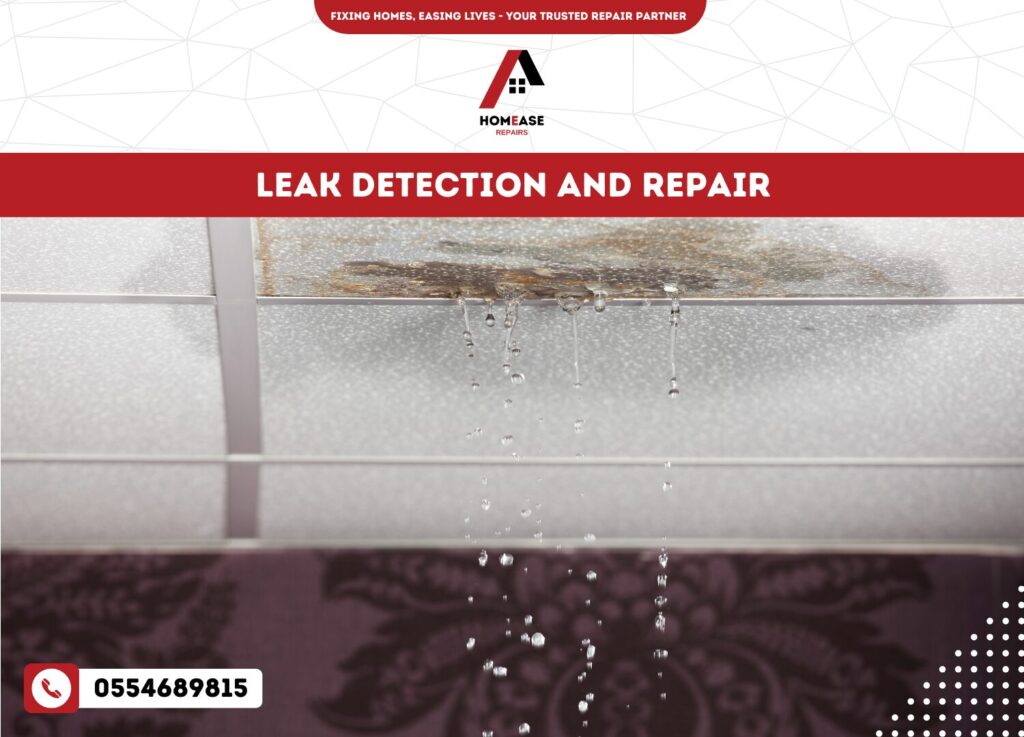 Leak Detection and Repair