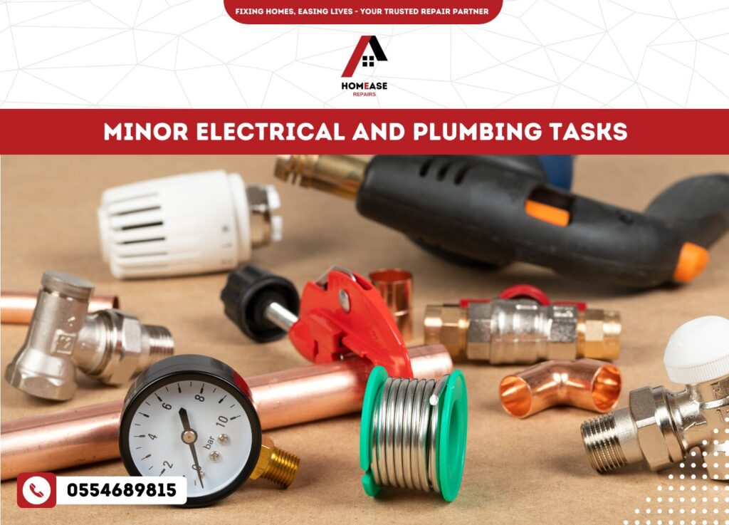 Minor Electrical and Plumbing Tasks