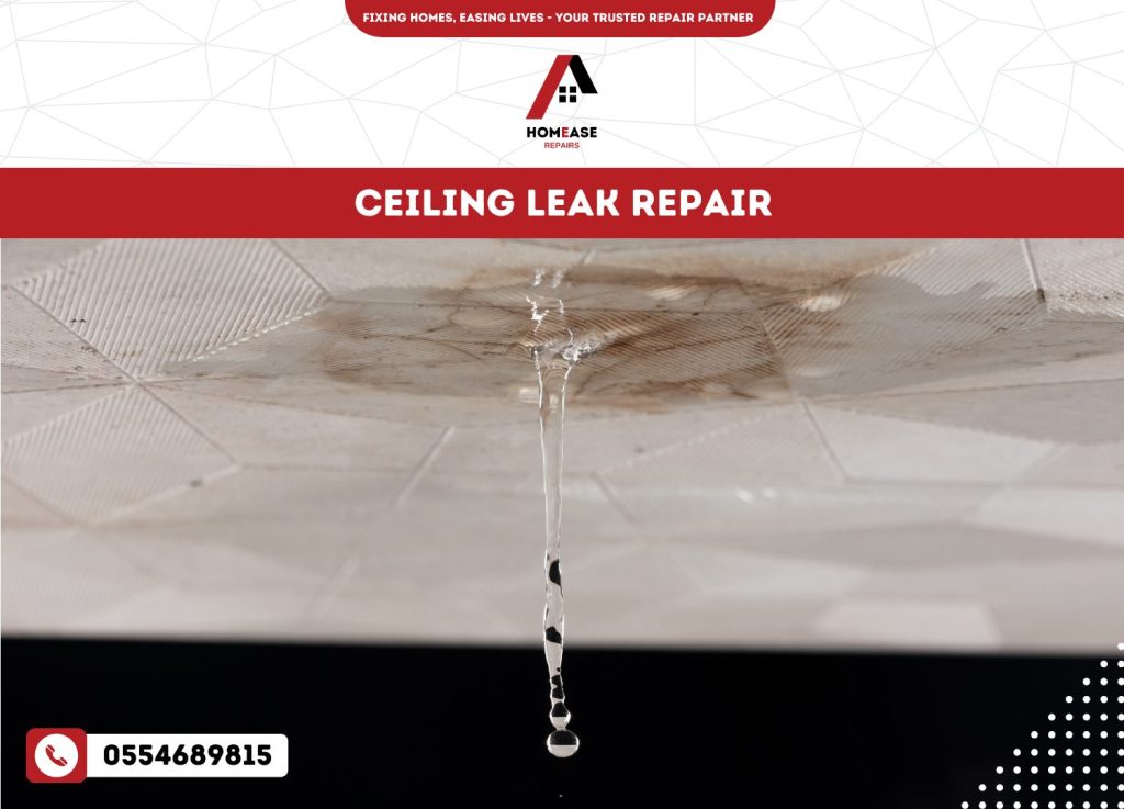 Ceiling Leak Repair
