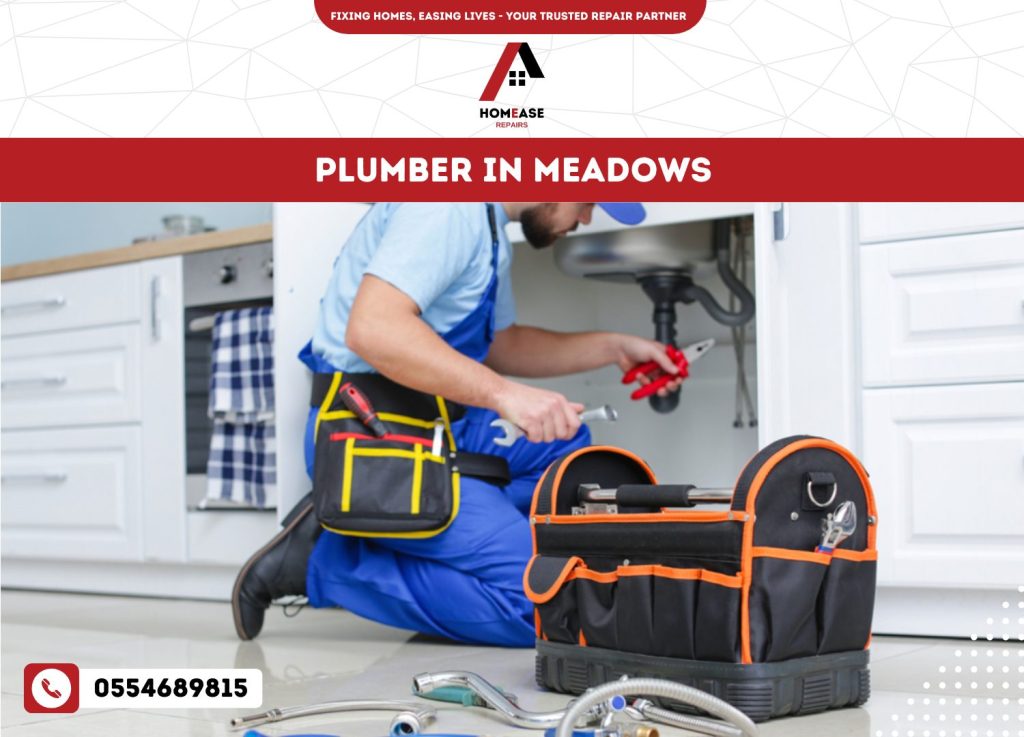 Plumber in Meadows