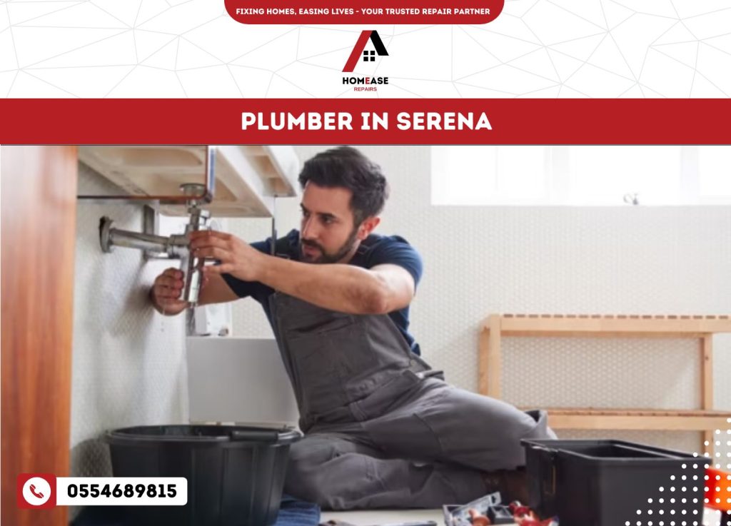 Plumber In Serena